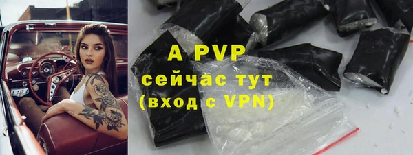 СК Новодвинск