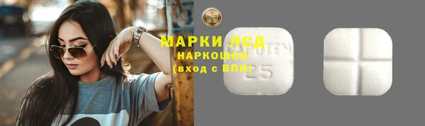 ECSTASY Абаза