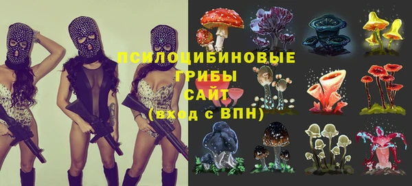 мдпв Новокубанск