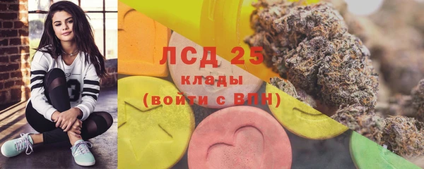 ECSTASY Абаза